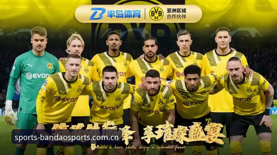 半岛综合体育官网 vs 传统平台：选择新版服务的三大核心优势对比